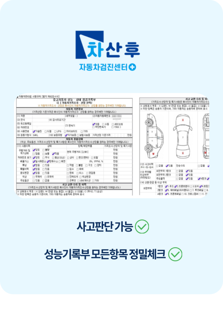 차산후 성능점검표